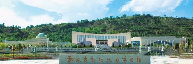 讲好“化石故事”，发挥资源优势——全力打造甘肃旅游最佳美好目的地