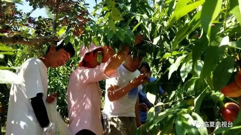 临夏地质公园田园风光、果蔬采摘线路