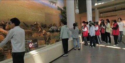 兰州大学师生走进临夏世界地质公园桦林古动物化石埋藏原址馆开展实践活动