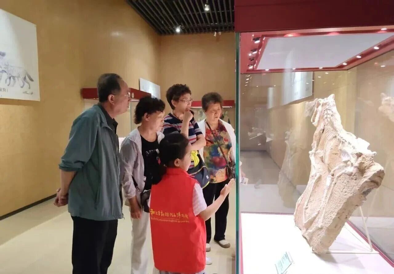 童声述亿年 薪火传文脉&mdash;&mdash;临夏世界地质公园和政古动物化石博物馆&ldquo;红石榴小小讲解员&rdquo;绽放暑期志愿风采